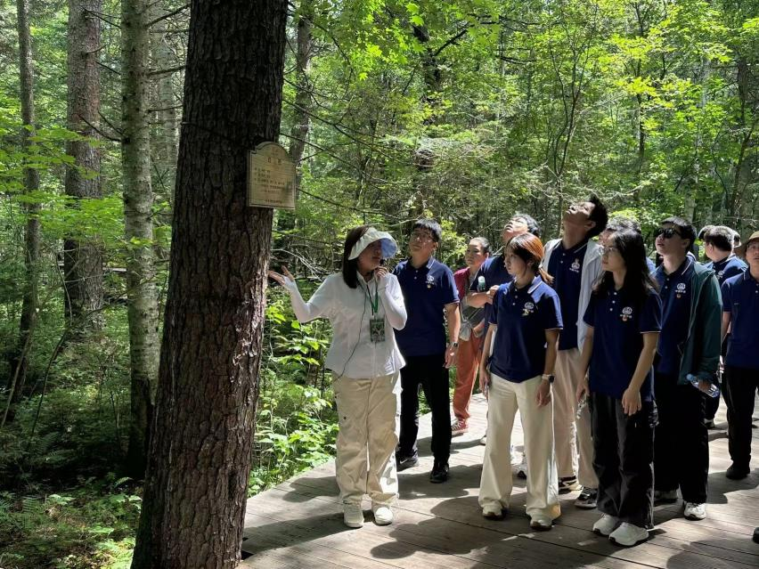 圖片4.png 圖片4.png